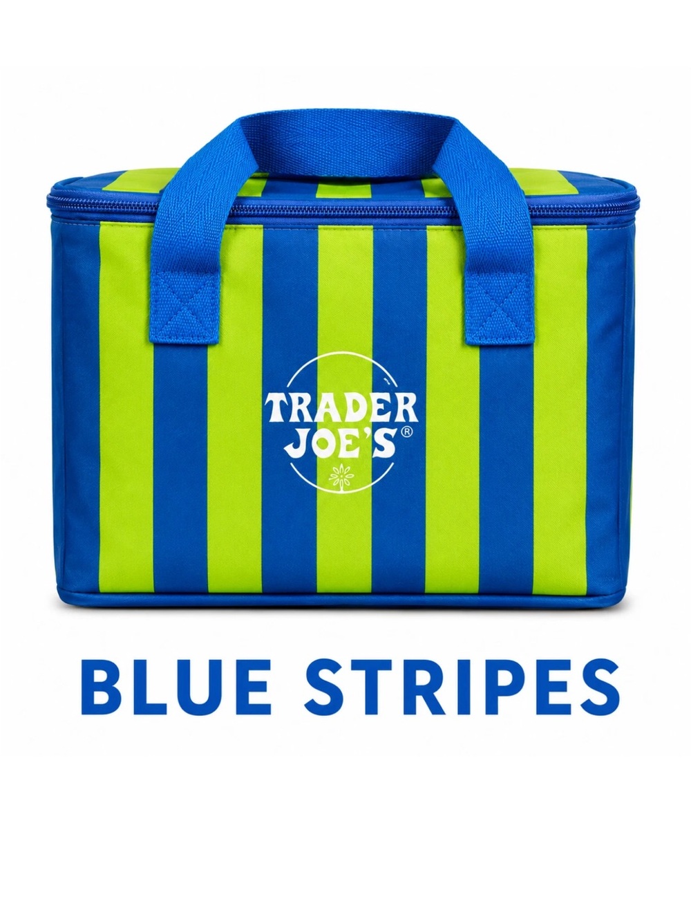 Trader Joe's Blue Green Stripes Mini Insulated Lunch Bag